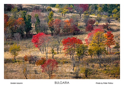 Картичка България Златна есен 