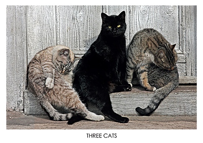 Картичка Три котки