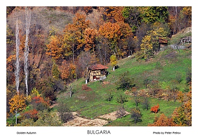 Картичка България Златна есен